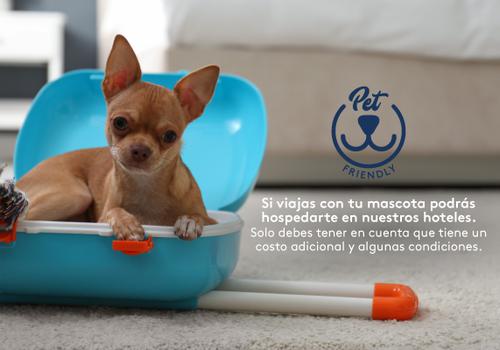 Admite mascotas Hotel ESTELAR Parque de la 93 Bogotá