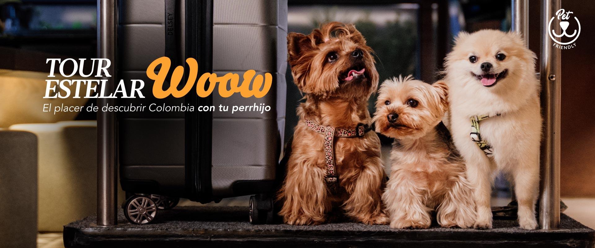 ESTELAR Parque de la 93 Colombia - Bogotá ESTELAR Parque de la 93 Colombia - Bogotá